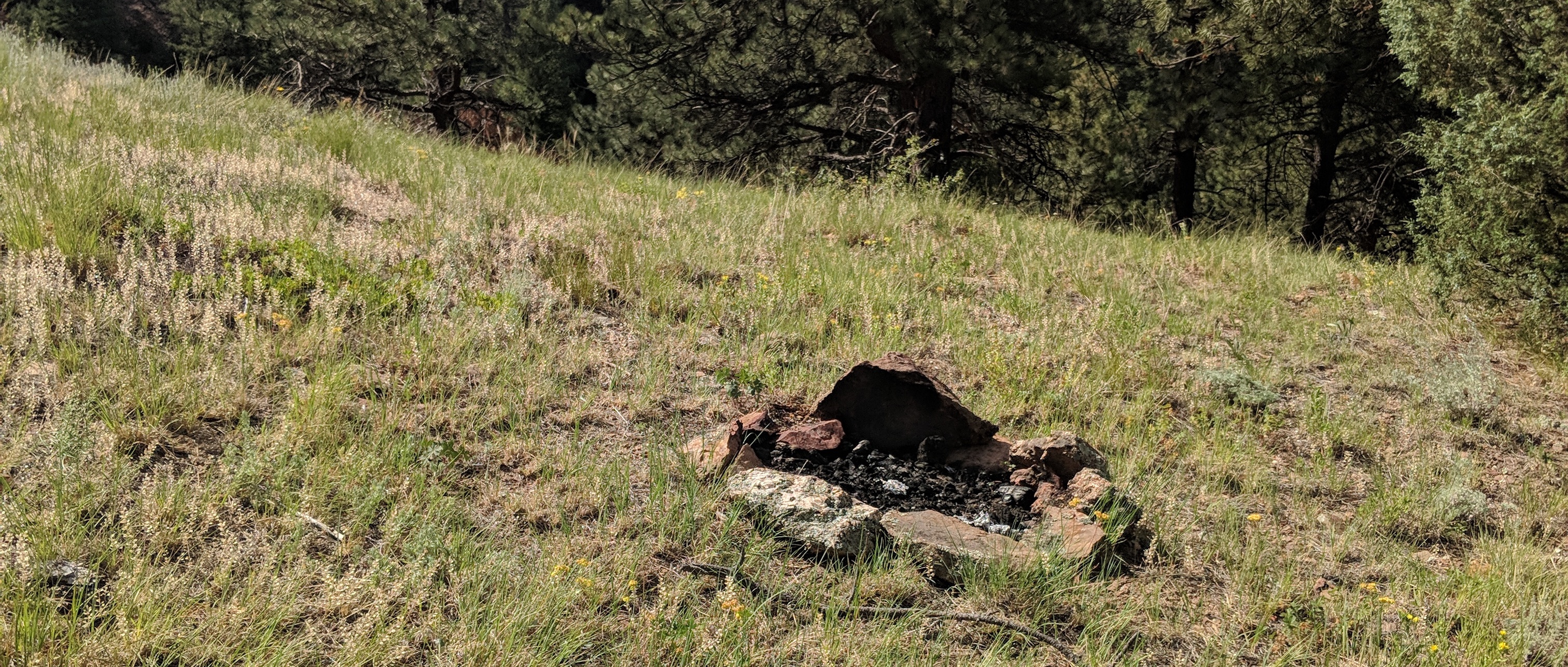 Illegal/Unattended Campfire